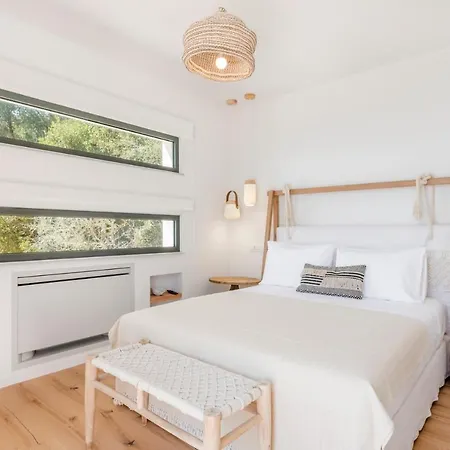 Luxury Agapanthus Villa